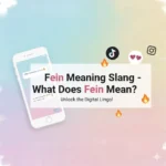 fein meaning slang