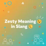 zesty meaning slang