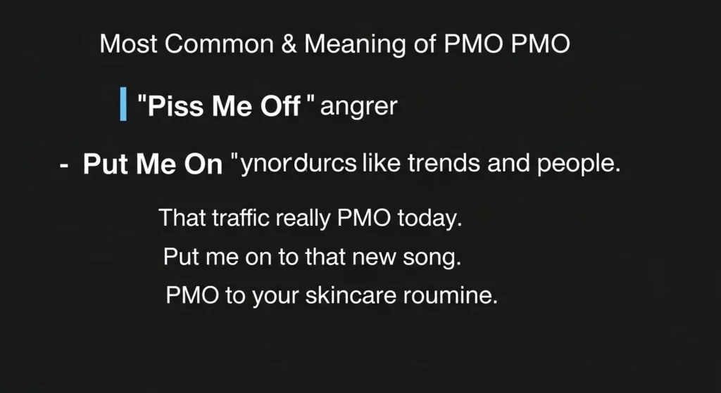 Definition & Meaning of PMO Slang