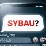 what does sybau mean