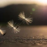 deep similes for life