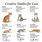 similes for cats