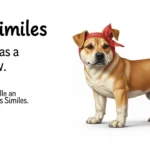 similes for dogs